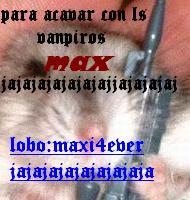 maxX4ever Logo