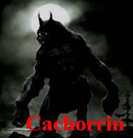 Cachorrin Logo