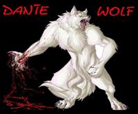 Dante Wolf Logo